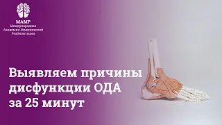 Как выявить заболевания аппарата опорно двигательной системы за 25 минут