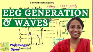 Electroencephalography | EEG waves | CNS Physiology mbbs 1st year lecture