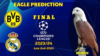 Borussia Dortmund vs Real Madrid | UEFA Champions League 2023/24 FINAL | Eagle Prediction