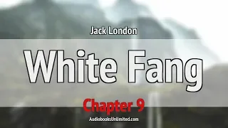 White Fang Audiobook Chapter 9