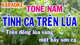 Karaoke Tình Ca Trên Lúa Tone Nam Nhạc Sống - Phối Mới Dễ Hát - Nhật Nguyễn