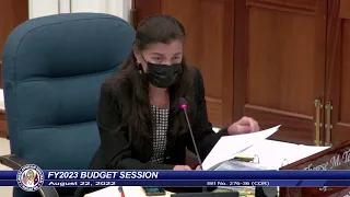 36th Guam Legislature FY2023 Budget Session - August 22, 2022 PM
