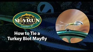 How to Tie a Biot Mayfly for Trout - Fly Tying Instructions