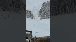 Swiss Army vs Snow Avalanche