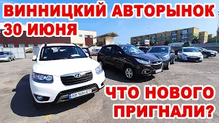 Что нового продавали на Винницком авторынке в последний день июня