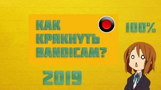 КАК КРЯКНУТЬ БАНДИКАМ? 2019