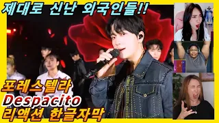 [해외반응] 포레스텔라 despacito 데스파시토 리액션 한글자막!!  스페인어에 진심 놀란 외국인들!! #Forestella #포레스텔라리액션 #포레스텔라해외반응 데스파시토