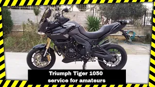 Triumph Tiger 1050 service for amateurs | Complete
