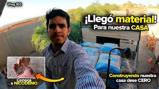 Nos preparamos para la siguiente etapa | Llegó MÁS material 🥳 | Conoce a Nicodemo 🐔