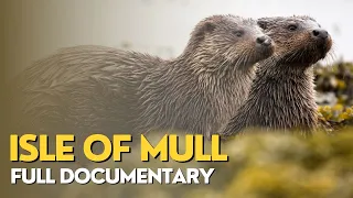 Isle of Mull - Scottish Isles | Full Nature Documentary