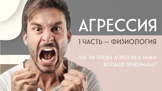 Агрессия 1. Что это такое. Бей - беги - умри.