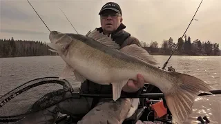 Early spring zanderfishing with Livescope
