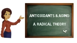 Antioxidants and aging: A radical theory