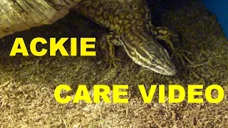 ACKIE MONITOR CARE VIDEO!