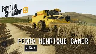 #01 VÍDEO DA SÉRIE: EM BUSCA DO SUCESSO NO FARMING SIMULATOR 20. A PRIMEIRA COLHEITA.