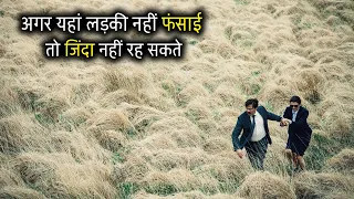 The Lobster Movie Explained In Hindi | Vk Movies Explanation in Hindi