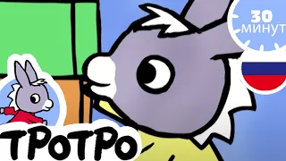 ТРОТРО - Тротро находит Тедди - Сборка #32