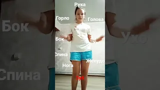 Мой организм