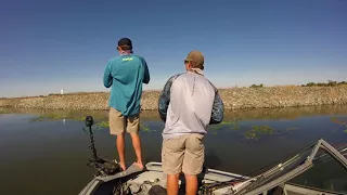 Frogging and Punching the California Delta