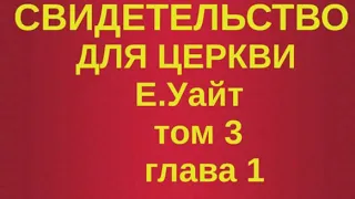 глава 1 Свидетельство для церкви том 3