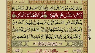 Quran Para 30/30-Urdu Translation Recitation Mishary Rashid Alafasy