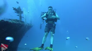 Scuba Diving Oahu Hawaii - Sea Tiger Shipwreck - vlog 390