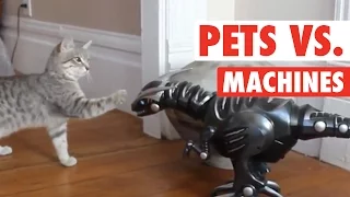 Pets vs Machines