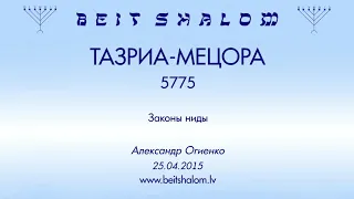 «ТАЗРИА-МЕЦОРА» 5775 «Законы ниды» (А.Огиенко. 25.04.2015)