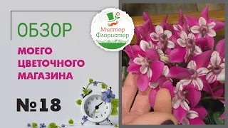 #18 Обзор цветочного магазина "Мистер Флористер". Комнатные растения