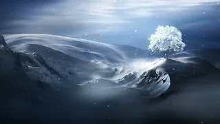 Winter Tree Live Wallpaper 4K 60fps (download link)