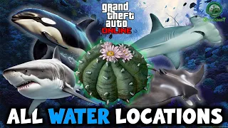 GTA Online - All Under Water Peyote Plant Locations