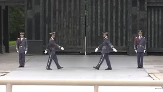 Changing of the Guards 💂 Imperial Palace Tokyo, Japan
