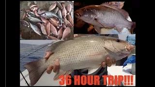 AWESOME 36 HOUR NIGHT TIME FISHING!!! | DEEP SEA FISHING FLORIDA