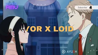 Yor x Loid | Hindi AMV