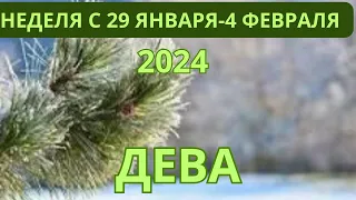 ДЕВА ♍️ ТАРОСКОП С 29 ЯНВАРЯ-4 ФЕВРАЛЯ-2024 от Alisa Belial.