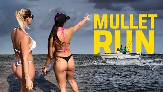 THE MULLET RUN | REEL REPORTS