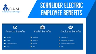 Schneider Electric Employee Benefits Login | Upoint Digital Schneider | digital.alight.com/schneider