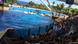 Loro Parque Tenerife