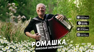 Николай Засидкевич - Ромашка (премьера песни, 2023)