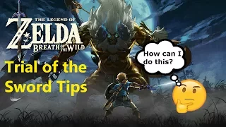 5 Tips on Completing the Trial of the Sword in the Legend of Zelda Breath of the Wild