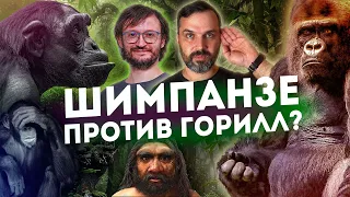 Новый вид человека | Шимпанзе против горилл | Соколов и Дробышевский - Новости АНТРОПОГЕНЕЗ.РУ