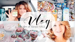 dm HAUL im Auto | REWE Food HAUL | Kindergeburtstag & Feedback | VLOG 347