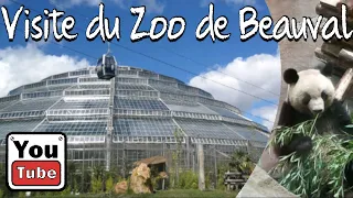 Visite du Zoo de Beauval