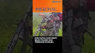 KKB Papua Curi Senpi Milik Polri Lalu Tembaki Polsek & Koramil Homeyo