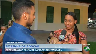 APAPI realiza feira de adoção responsável no centro de Picos