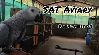 Farm Visit -1 || SAT Aviary Coimbatore || Conure Collections || Bird Farm || Tamil ||Cutewings