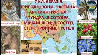 Географія. 7 кл. Урок 52. Природні зони Євразії. Частина 1