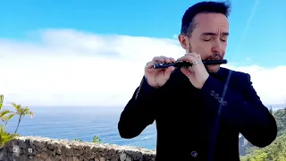 Piccolo Concerto in C Major, RV 443 (II. Largo)- A. Vivaldi| Miguel Guillén (Flute)