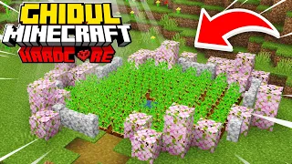 Ferme de Inceput - Ghidul Minecraft Hardcore 1.20 - Ep.2