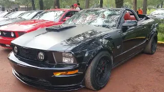 una mirada a estos mustang #mustangs